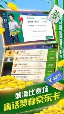 未来淮北麻将苹果版截图1