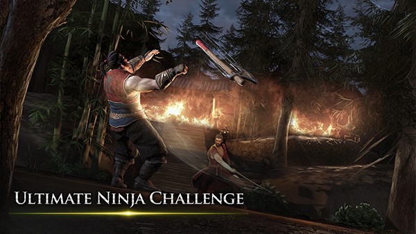 忍者武士隆最新版本截图3