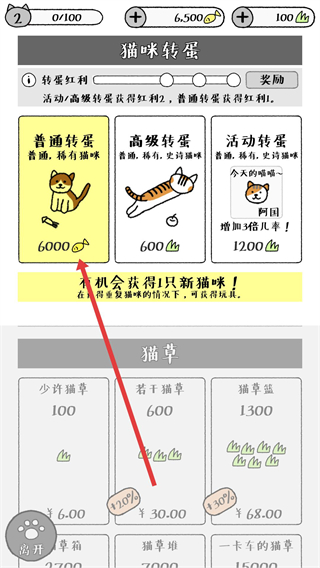 猫咪真的很可爱