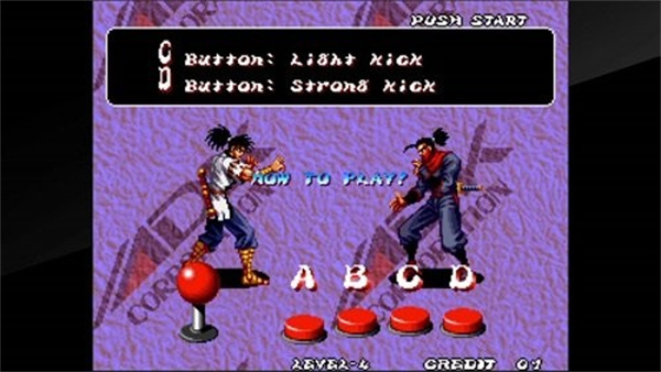 霸王忍法帖截图2