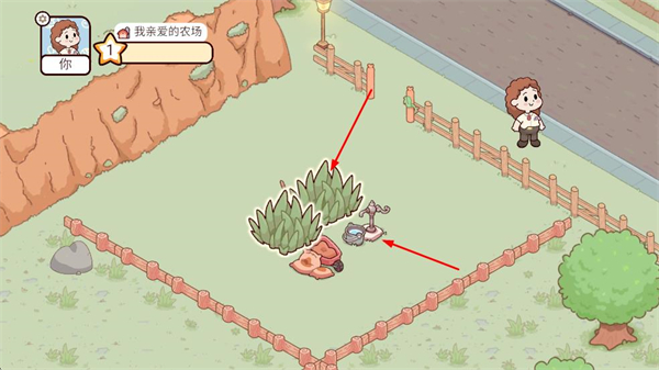 我亲爱的农场